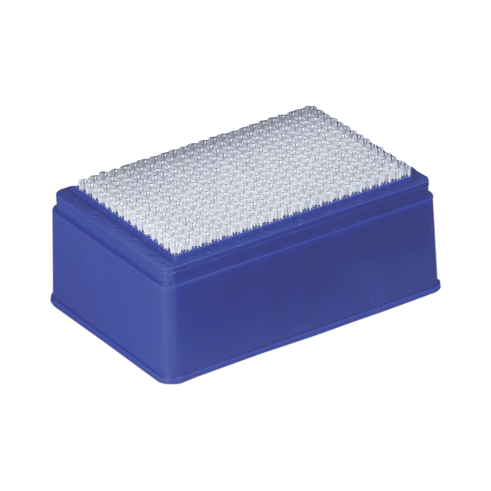 Filterspitzen 21