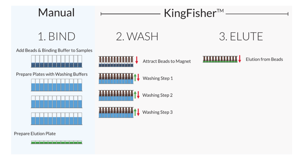 KF Schematic Workflow
