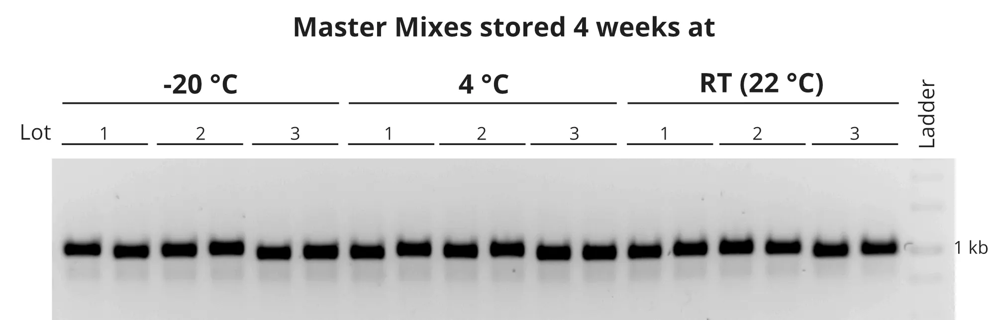 SYBR® Green qPCR 9