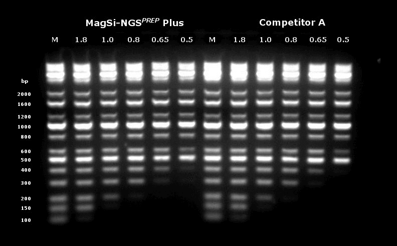 PCR and NGS purification 3 NGS PREP Plus