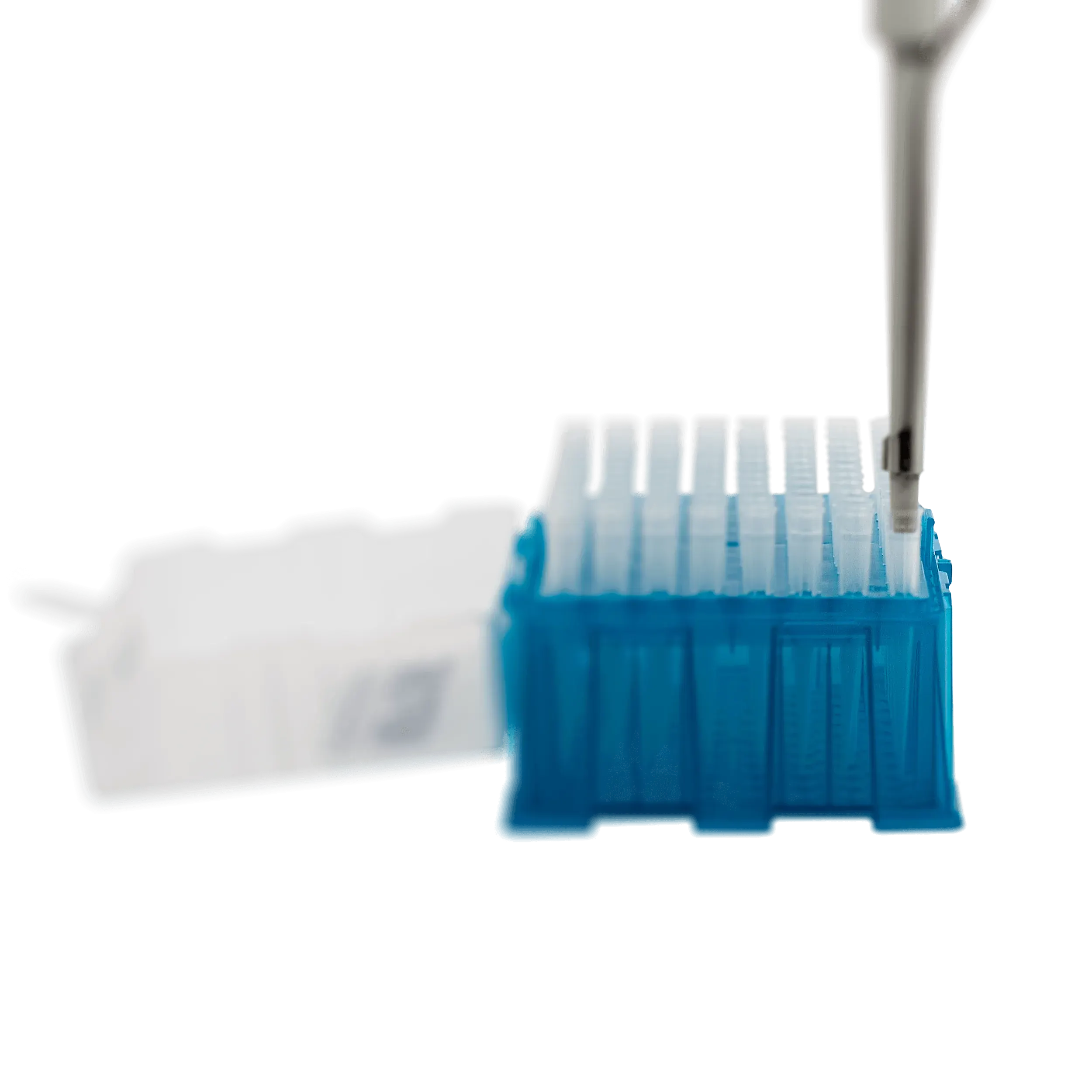 Filter tips 19
