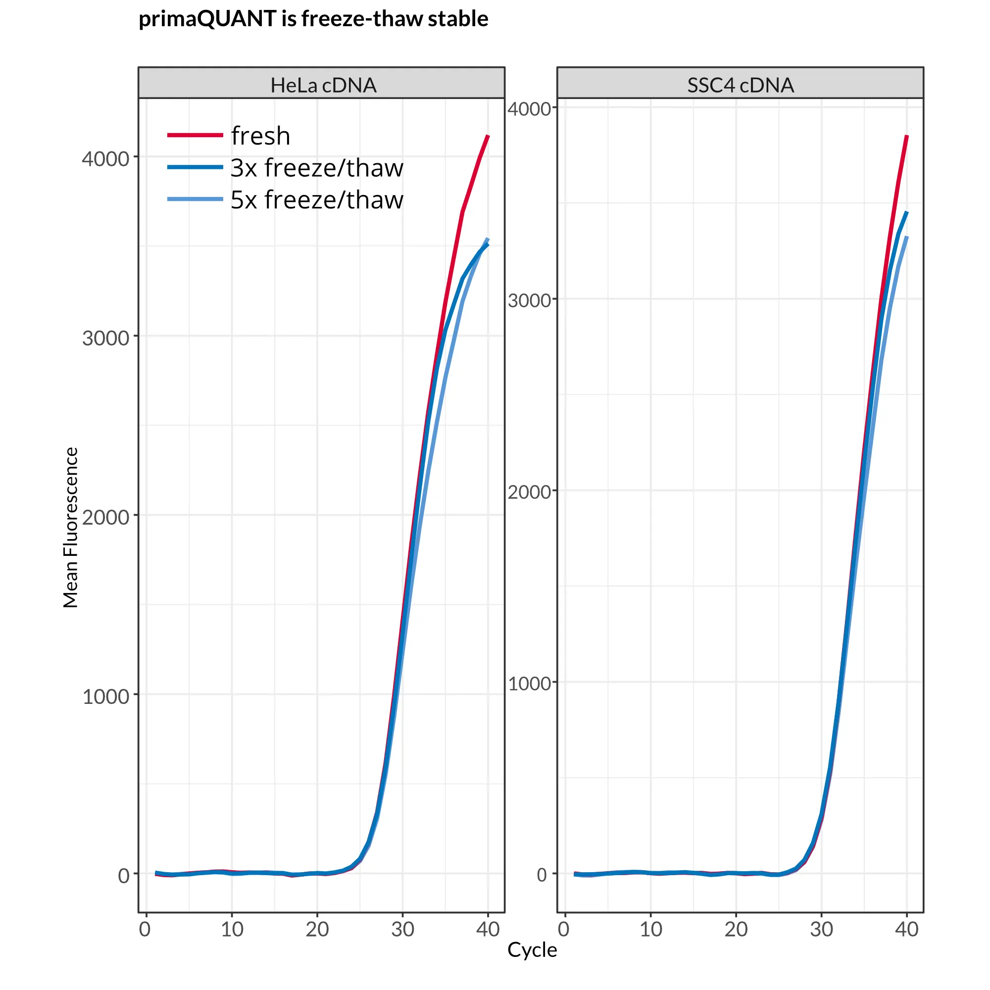 SYBR® Green qPCR 10