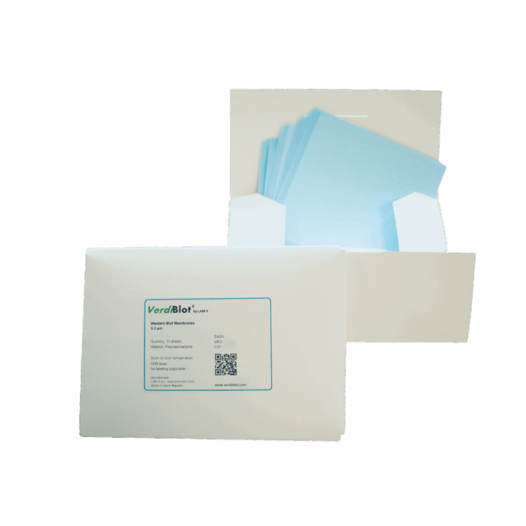 Western Blot - VerdiBlot VerdiBlot membranes as pre-cut sheets 2 VerdiBlot membranes as pre-cut sheets