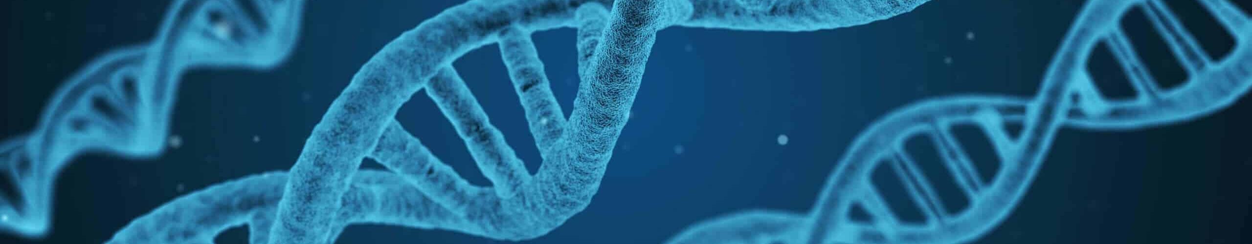 dna-1811955-scaled.jpg