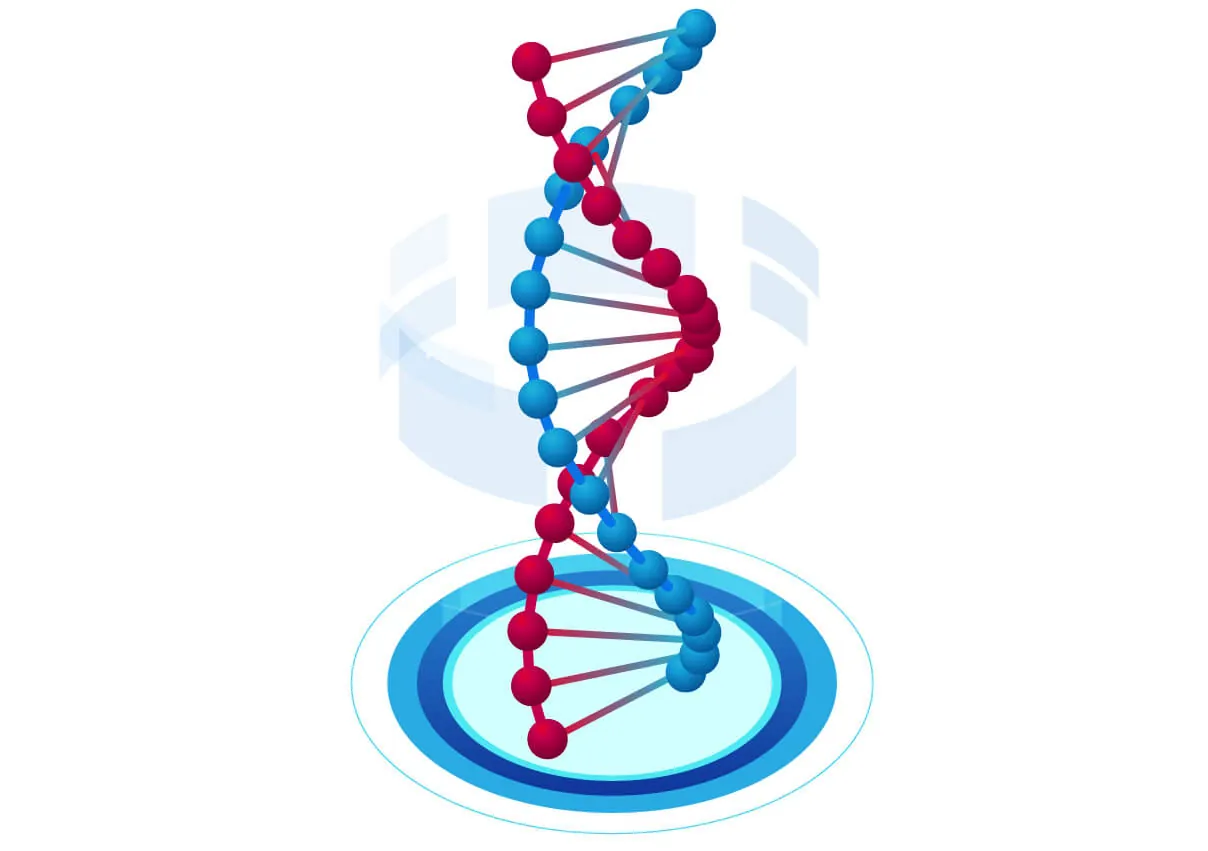 steinbrenner laborsysteme dna 1